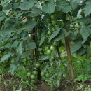 준앤준농장 이미지