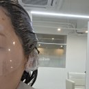 붉은머리 안 | 강남구청역 미용실 단헤어디자인｜붉은기 잡은 뮤트브라운 염색 후기