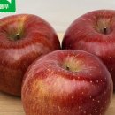 시안농장 이미지