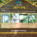 파래소 가든 이미지