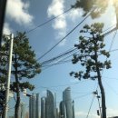 GS25 해운대마리나점 | [부산 해운대] 파크하얏트 부산 &#39;이그제큐티브 마리나 스위트룸&#39; 후기