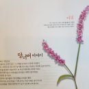 당너머한우 이미지