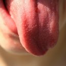 수지로112번길 이미지