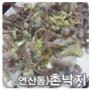촌낙지