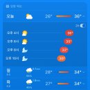 강남부동산나라공인중개사사무소 이미지