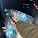 뉴욕버거상인점 | 뉴욕 여행 일지 1 ~ DAY3
