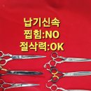 선헤어샾 이미지