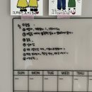 2024년 5월 6-12일, 신혼부부 일상 블로그 / 송화가루 / 60회 백상예술대상 / 또띠아피자 / 오창 나들이