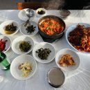 리얼오징어