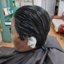 동창이용소 Daum카페