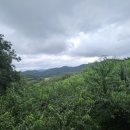 홍현농장 이미지