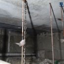 롯데마트시화점 이미지