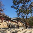 사적 및 명승 제 1호 경주 불국사 경내 (2009.12.21 지정 해제) [2]