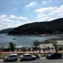 맑은농장 이미지