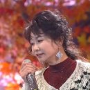 하얀민들레 이미지