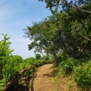 인천 선녀바위해수욕장 부터 을왕리해수욕장까지 걸으며. 이미지