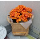 강동공인외국어번역행정사 이미지