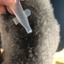 시지동물약국 이미지