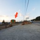 무릉도원면-15 이미지