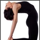 요가(초급) 이미지