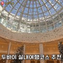코스몰링크 | [몰디브]두바이 시원한 실내코스③ 두바이몰 완전 정복