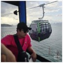 종일코스 이미지