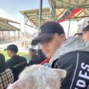 논산애견 이미지