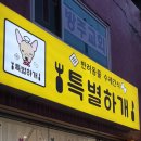 특별하개 이미지