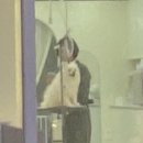 꽃댕댕싸롱 이미지