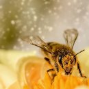 이태연농장 이미지