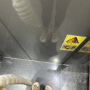 장흥면송추계곡입구~북한산국립공원주차장 | [일상/등산] 사패산_등산 코스, 등산 소요 시간, 주차장, 북한산국립공원, 송추계곡