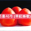 조홍시가(早紅柹歌) / 박인로 이미지