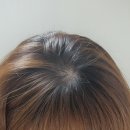올리브영 닥터린 맥주효모 비오틴 / 라보에이치 헤어라인앰플 내돈내산 다 쓴 효과 후기