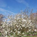 스톤즈개발(주) 이미지