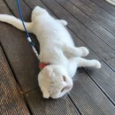 탐진강편의점