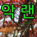 신월교(공원) 네이버블로그