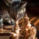 원이약국 이미지