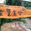 안종호농장 이미지