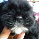 아롱이네 농장 이미지