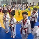 늘품태권도장 이미지