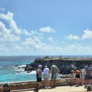 ibk기업은행 앞 교통섬 | 칸쿤 여인의섬 자유여행｜칸쿤 대중교통, 페리, 골프카트,무료 비치클럽까지