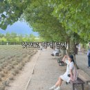 해바라기PC | 삿포로 현재 날씨 8월 9월 여름 비에이 여행 준비물 후기