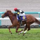 통산2목장 이미지