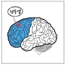 팀보노짐 이미지