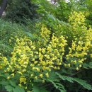 가좌체육공원 이미지