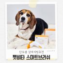 펫비타스마트브러쉬 단모종 강아지빗추천