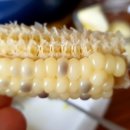 호박추어탕 이미지