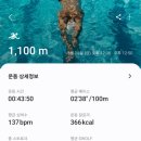 예봉국수