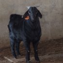 청안농장 이미지