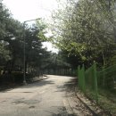 벽운근린공원 이미지